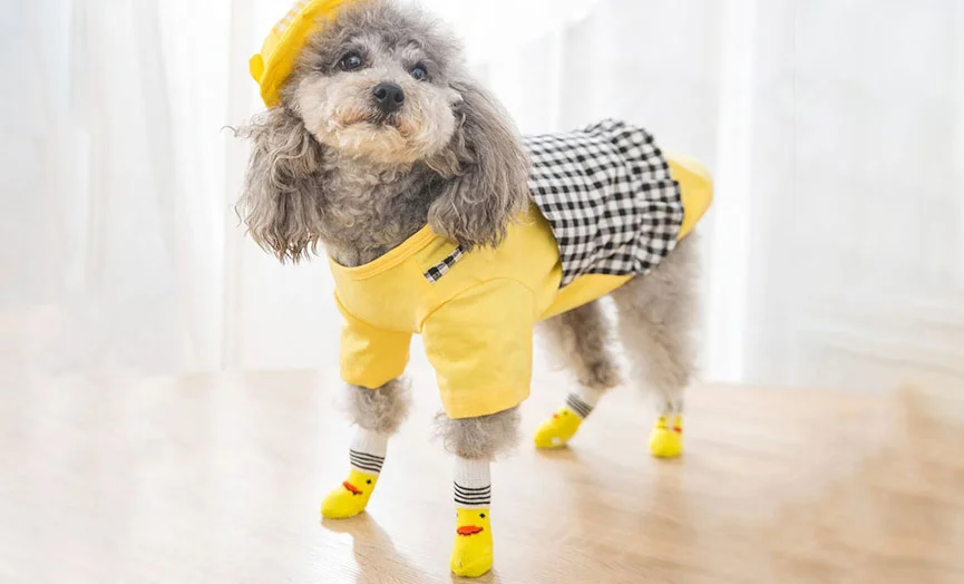 Puppy Socks with Grip for Indoors