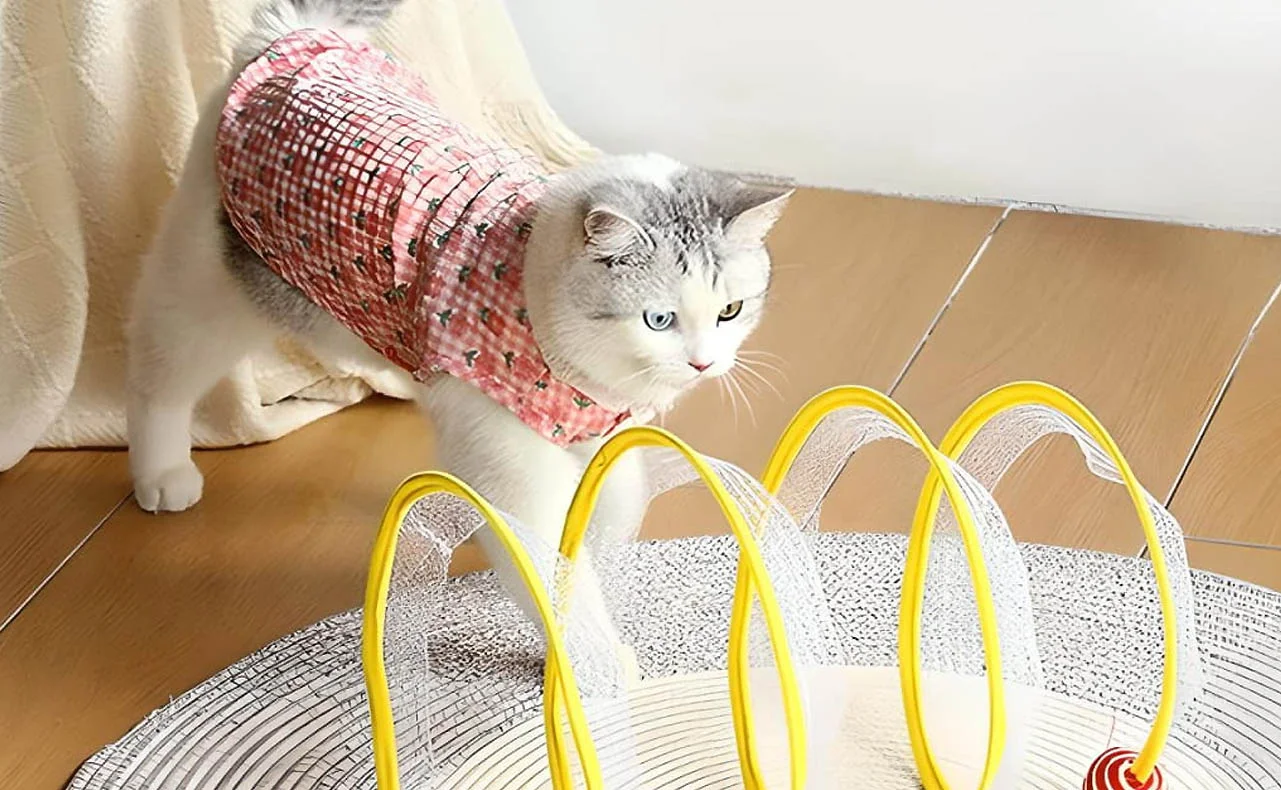 Cat Playhouse Tunnel Accessory