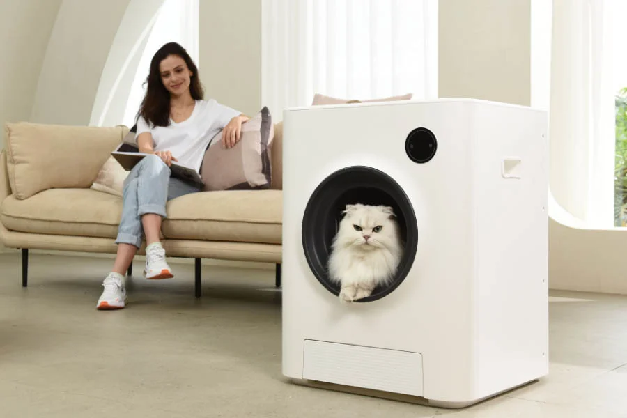 smell free litter box