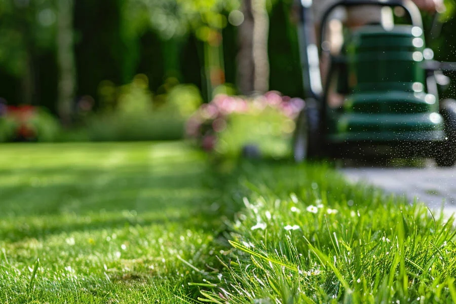 cordless black and decker lawn mower