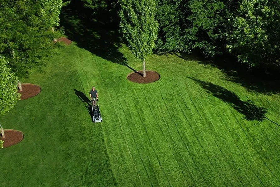 electric and battery lawn mowers